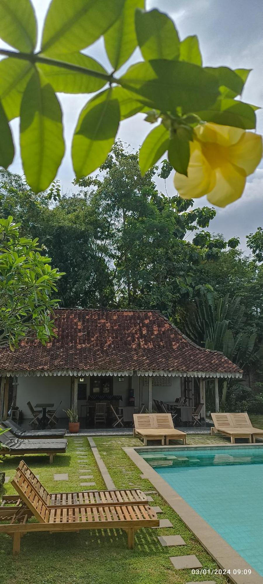 Hotel Blue Garden Yogyakarta à Bangunjiwo Extérieur photo
