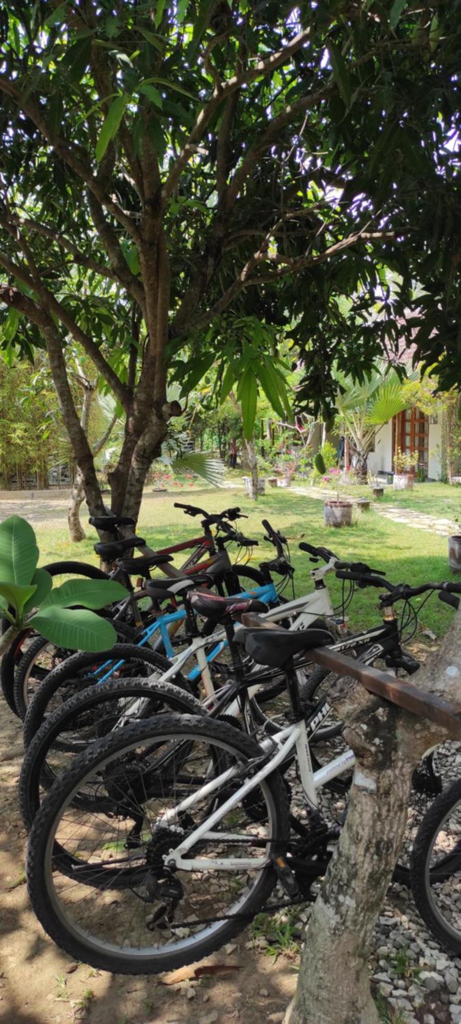 Hotel Blue Garden Yogyakarta à Bangunjiwo Extérieur photo